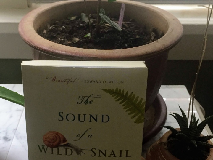 The book "The Sound of a Wild Snail Eating" by Elisabeth Tova Bailey leaning up against a house plant. The book has a snail and a fern on the cover. To the right is a smaller potted succulent plant.
