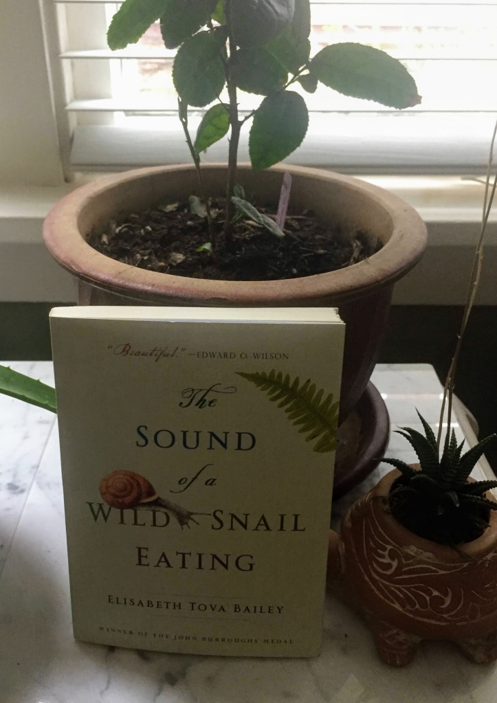 The book "The Sound of a Wild Snail Eating" by Elisabeth Tova Bailey leaning up against a house plant. The book has a snail and a fern on the cover. To the right is a smaller potted succulent plant.
